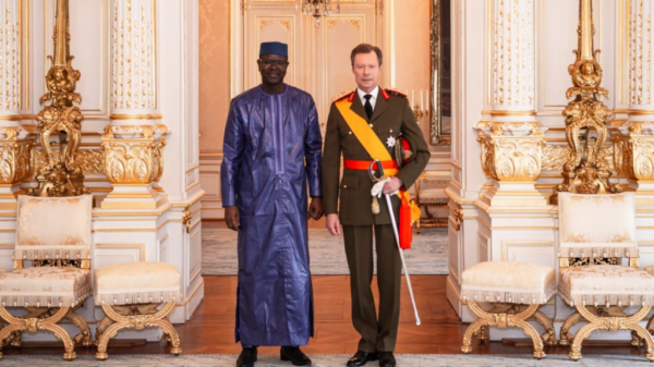 Si j'étais Président de la République du Mali