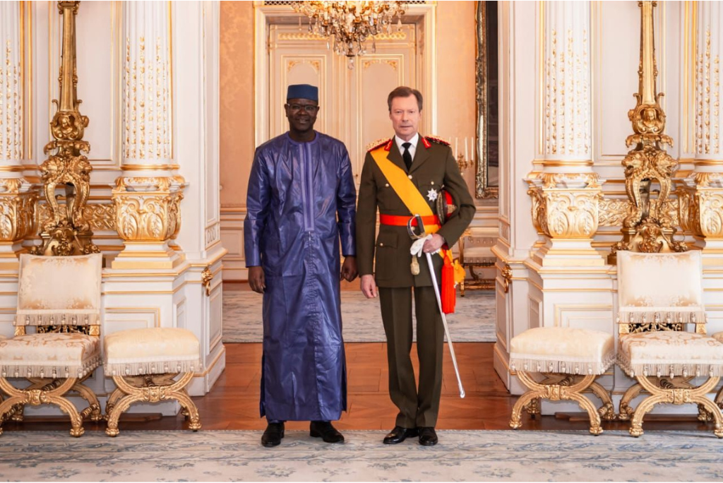 Si j'étais Président de la République du Mali