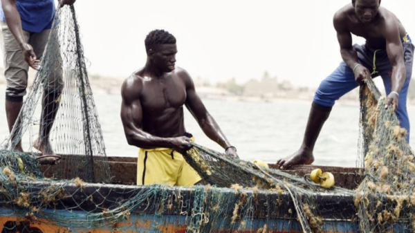 Lutte contre les activités maritimes illégales en Afrique de l'Ouest