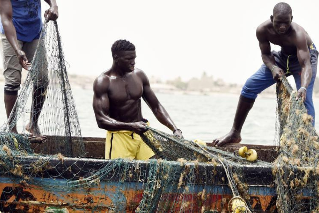 Lutte contre les activités maritimes illégales en Afrique de l'Ouest