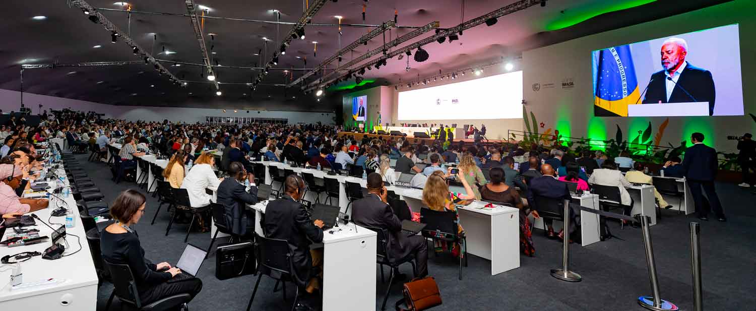 BMD lancent un nouveau cadre pour la résilience et la nature