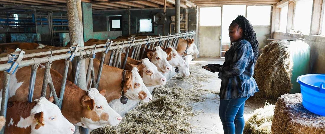 310 M$ pour soutenir les MPME sud-africaines