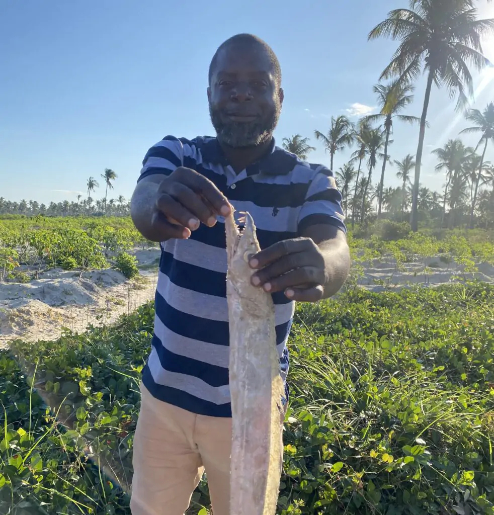 PROFISHBLUE dynamise la pêche et le commerce du poisson