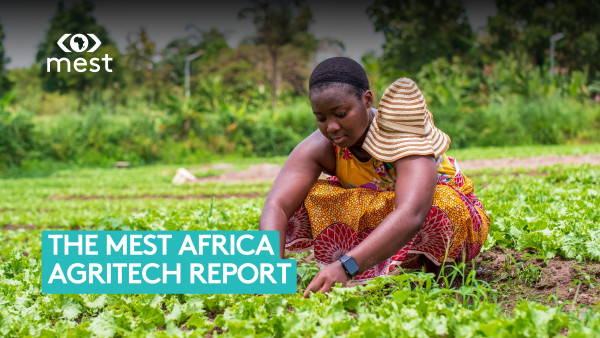 AgriTech : Le rapport MEST Africa révèle les futurs géants du secteur