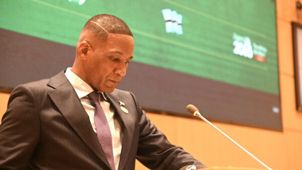 Paludisme en Afrique : L'UA sonne l'alarme financière