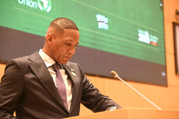 Paludisme en Afrique : L'UA sonne l'alarme financière