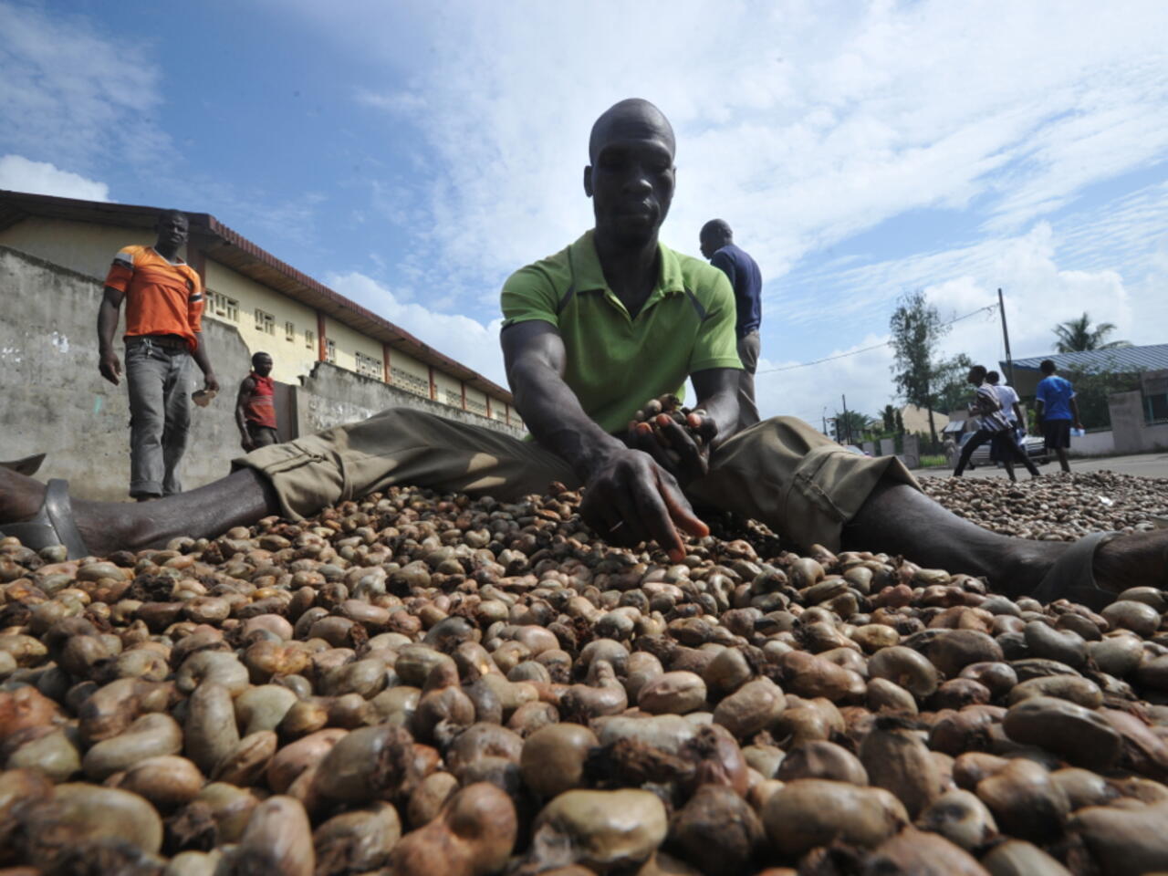 Côte d’Ivoire : Le prix de la noix de cajou fixé à 400 FCFA/Kg pour 2026