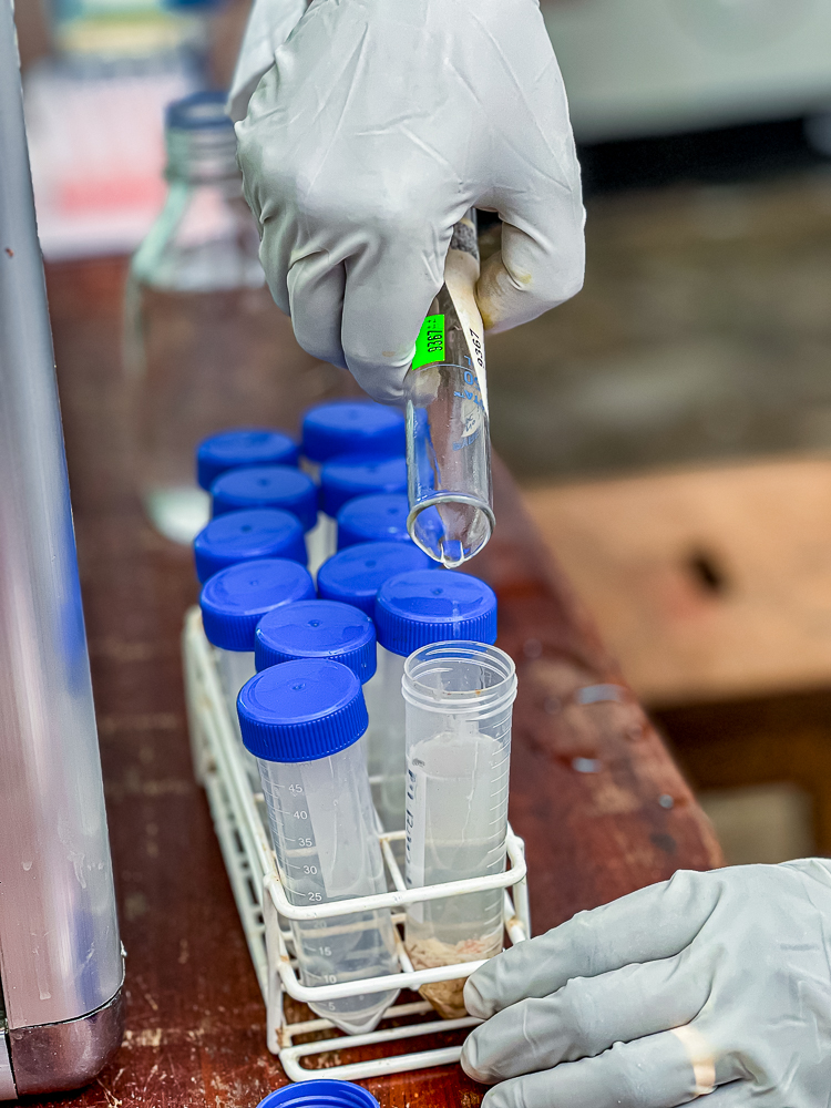 SADC : 9,57 millions $ pour sécuriser la santé en Afrique australe